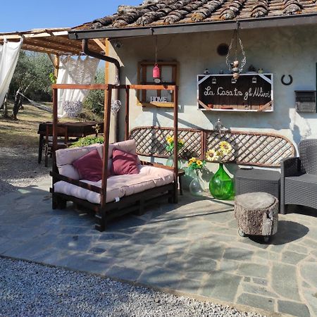 Bed and Breakfast La Casa Tra Gli Ulivi Cortona Exterior foto